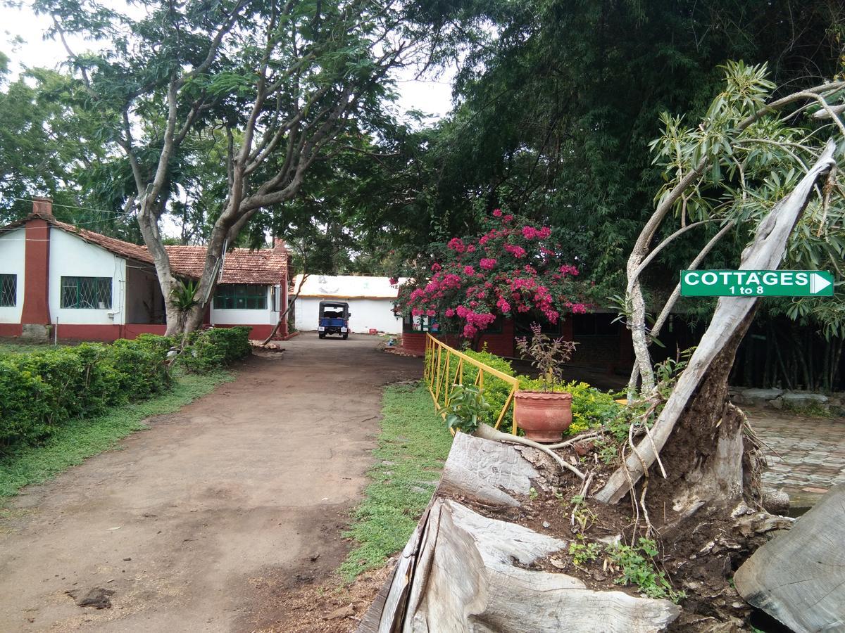 Blue Valley Jungle Resort Nīlgiri Exterior foto